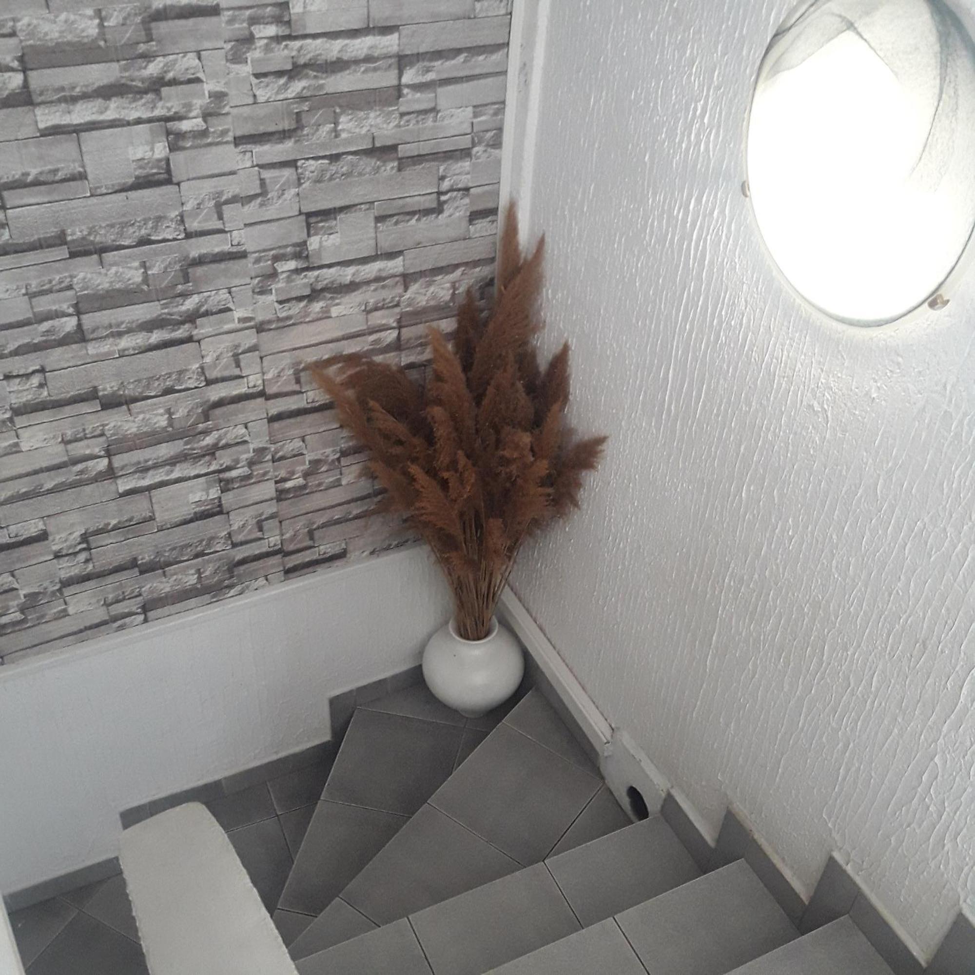 Apartmani Ni Kültér fotó